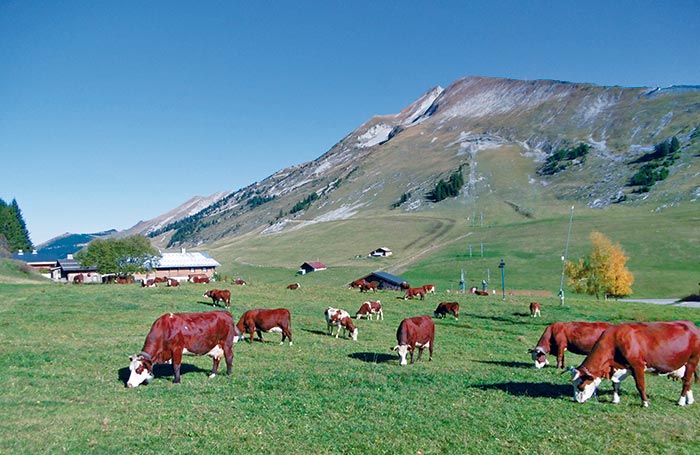 location vacances été à la montagne