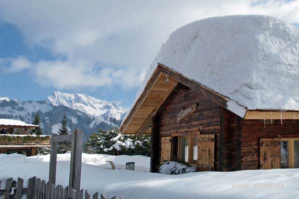 petite maison en bois servant à ranger des vêtements et des papiers importants en cas d'incendie